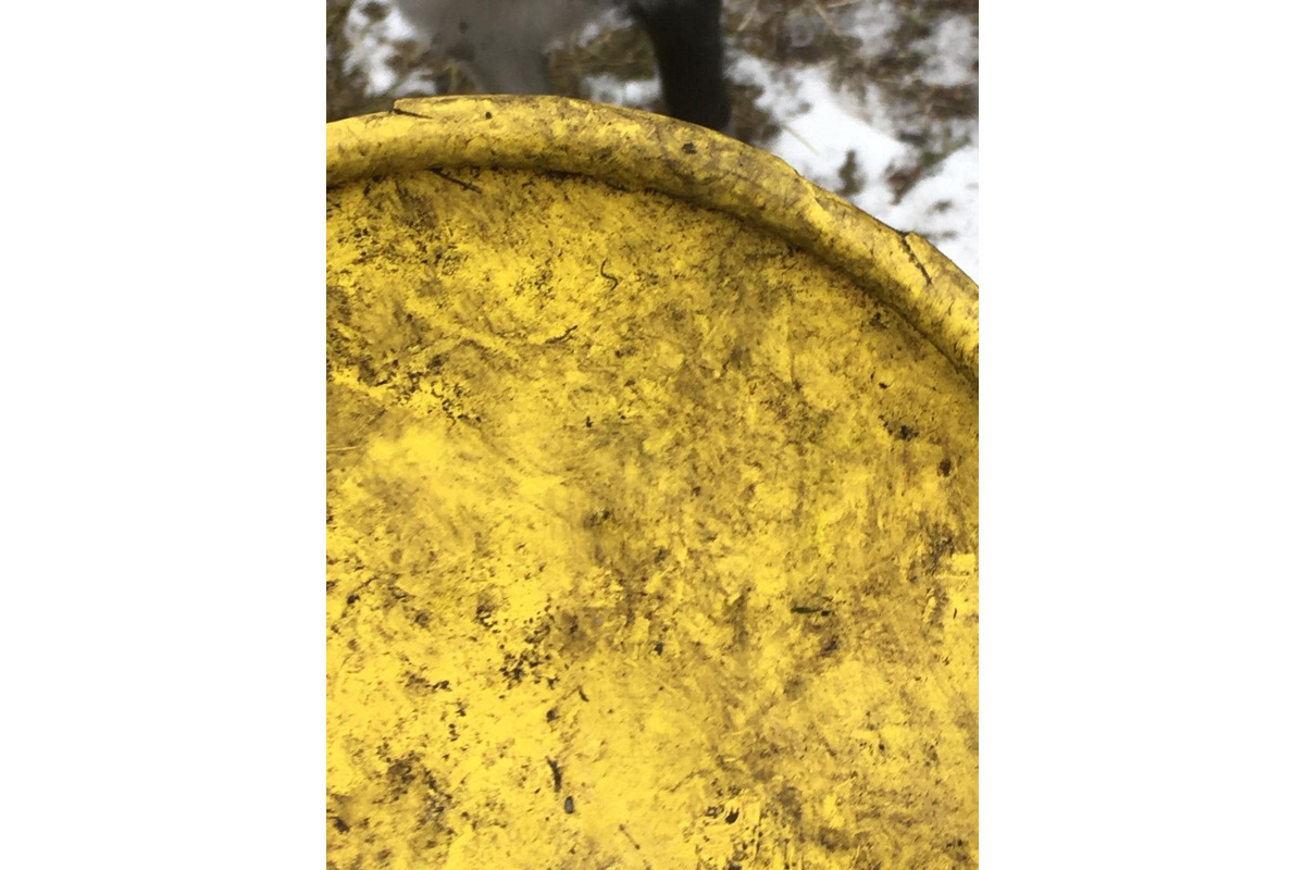 FOTO: Zábery sadzí od občanov, foto 11