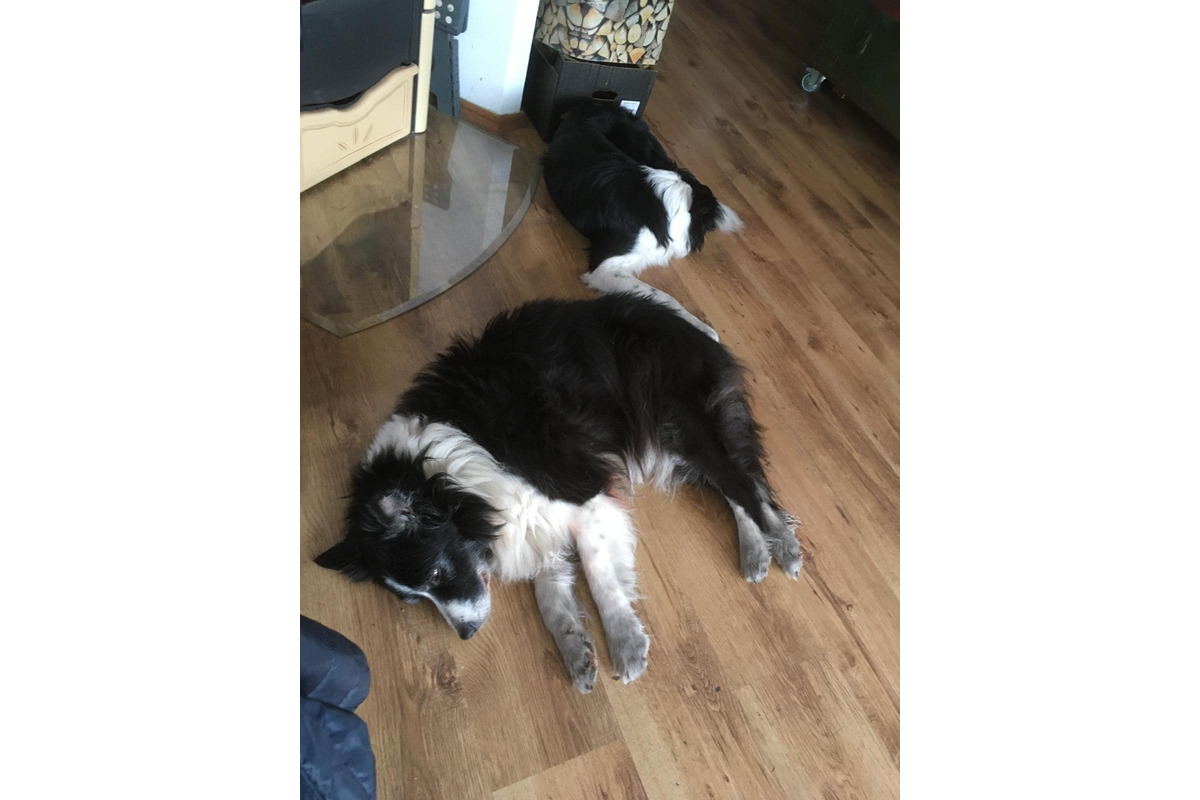 FOTO: Zábery sadzí od občanov, foto 12