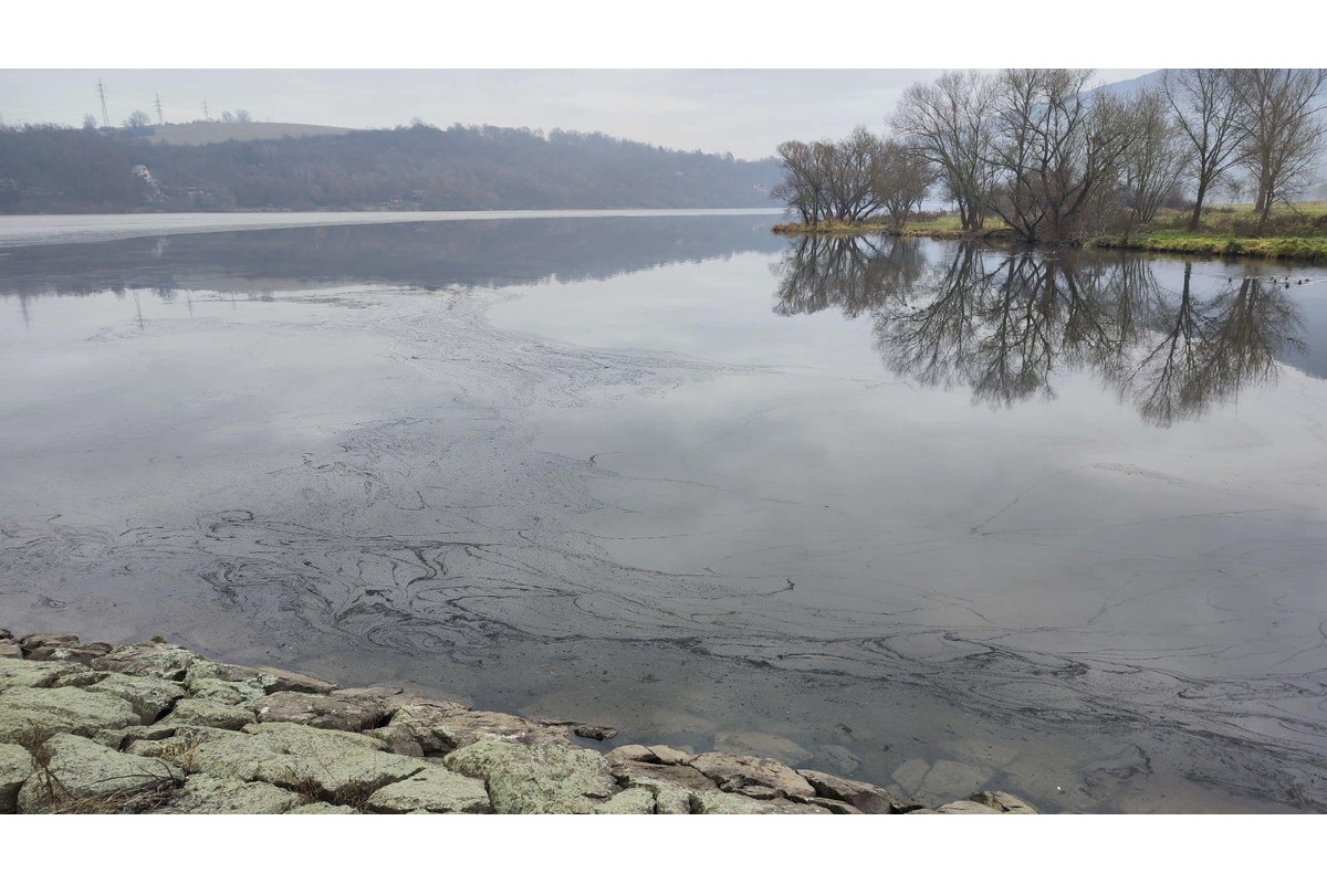 FOTO: Zábery sadzí od občanov, foto 17