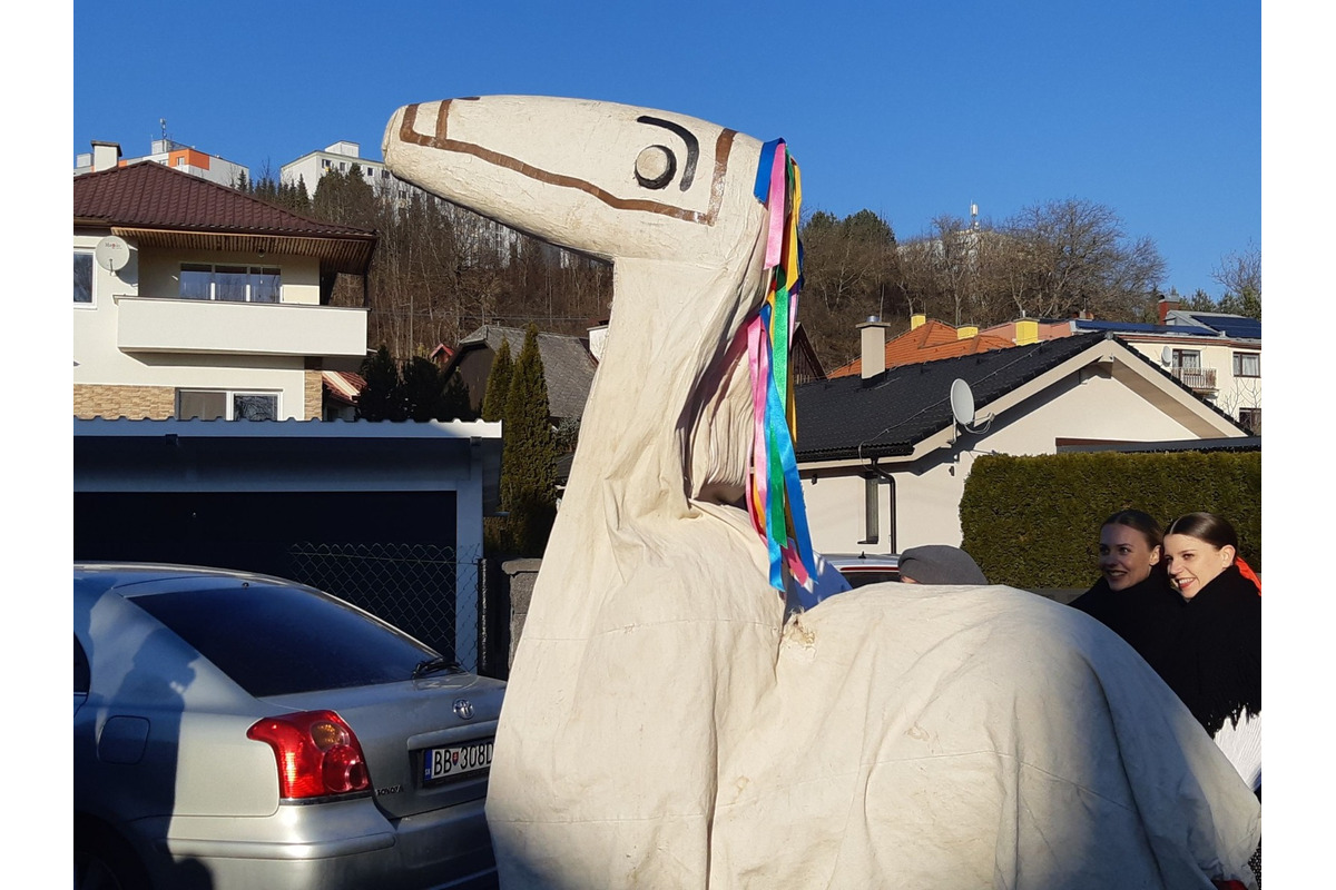 FOTO: Sásovčania už Fašiangy v uliciach oslávili , foto 16