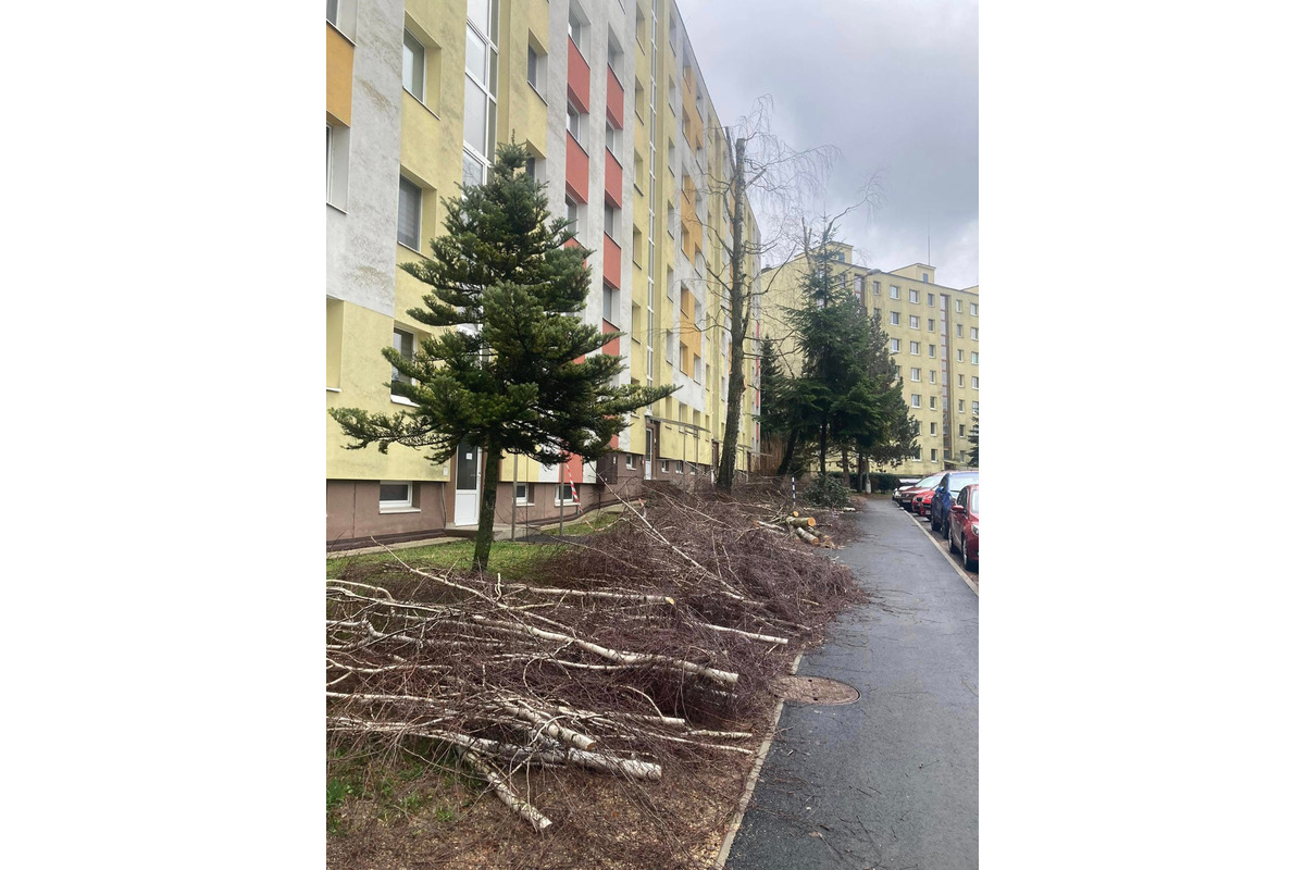 FOTO: Spílené stromy v Sásovej nahnevali obyvateľov, foto 4