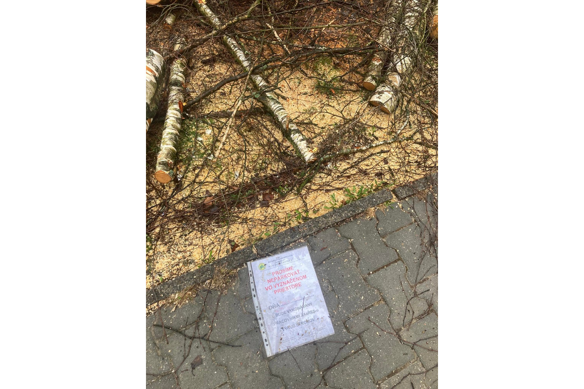 FOTO: Spílené stromy v Sásovej nahnevali obyvateľov, foto 6