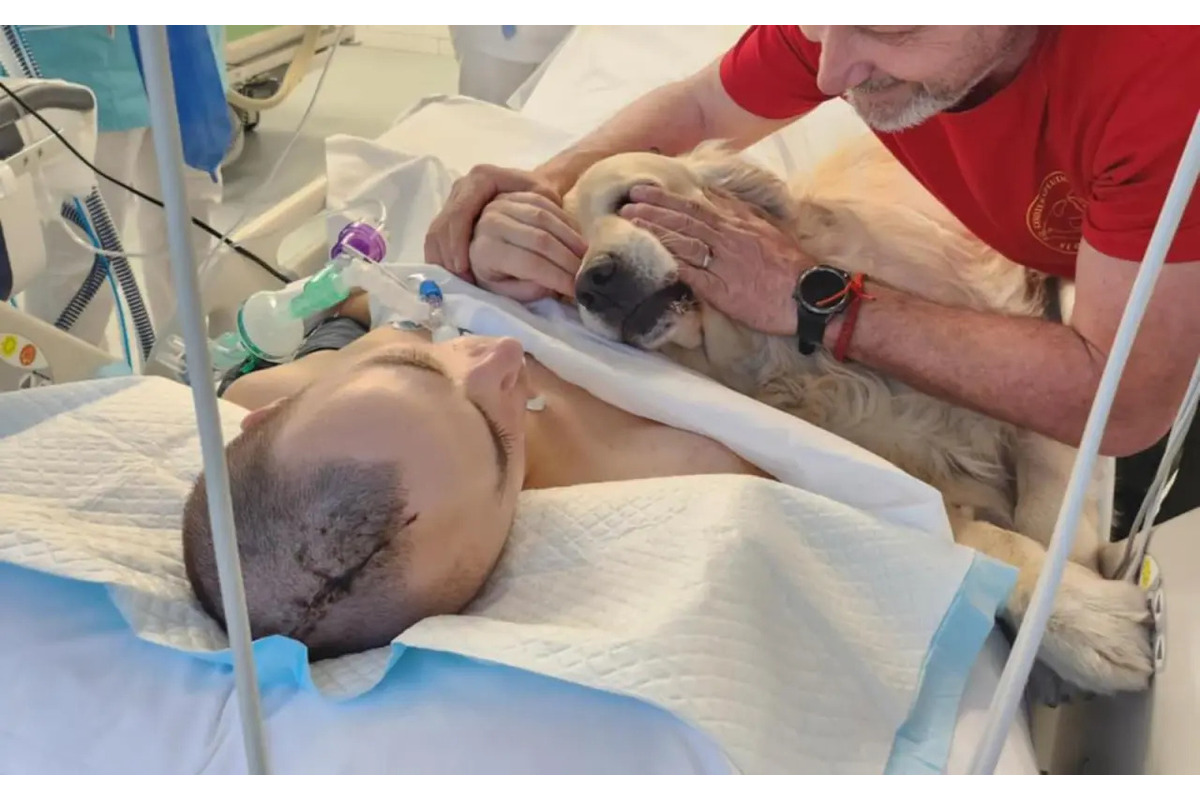 FOTO: Matúš je po úraze v bdelej kóme, jeho sestra prosí o pomoc dobrých ľudí, foto 4