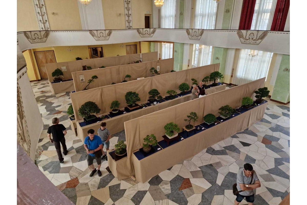 FOTO: Gardeniáda po prvýkrát v Banskej Bystrici!, foto 10