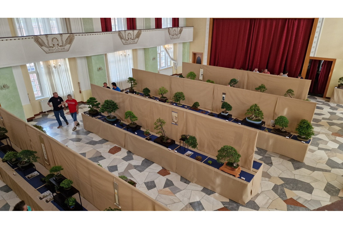 FOTO: Gardeniáda po prvýkrát v Banskej Bystrici!, foto 11