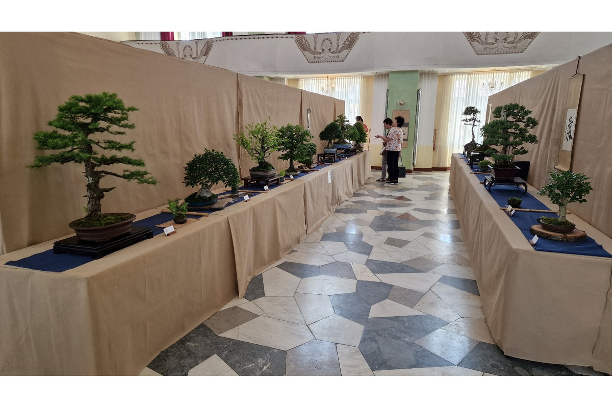 FOTO: Gardeniáda po prvýkrát v Banskej Bystrici!, foto 12