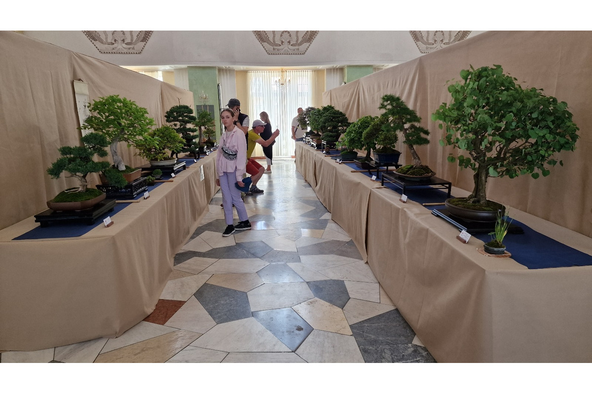 FOTO: Gardeniáda po prvýkrát v Banskej Bystrici!, foto 13