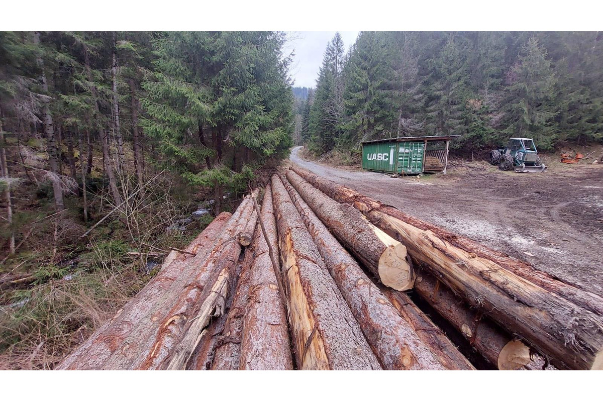 FOTO: Ťažba dreva ničí vzácne územie v Nízkych Tatrách, foto 3