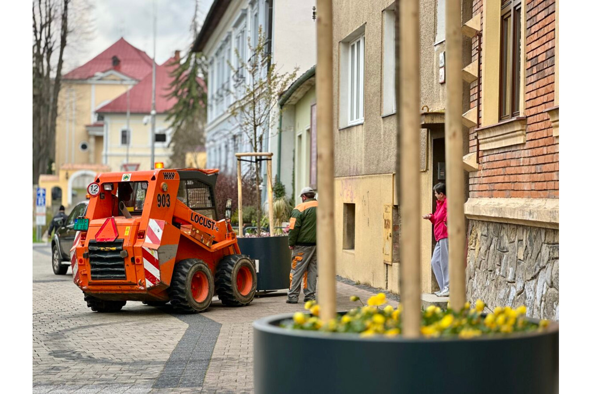 FOTO: Lazovná ulica v Bystrici bude zelenšia, mesto do nej investuje 14-tisíc eur, foto 1