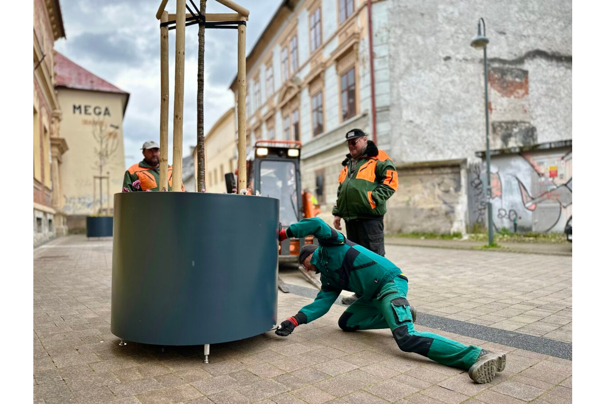 FOTO: Lazovná ulica v Bystrici bude zelenšia, mesto do nej investuje 14-tisíc eur, foto 2