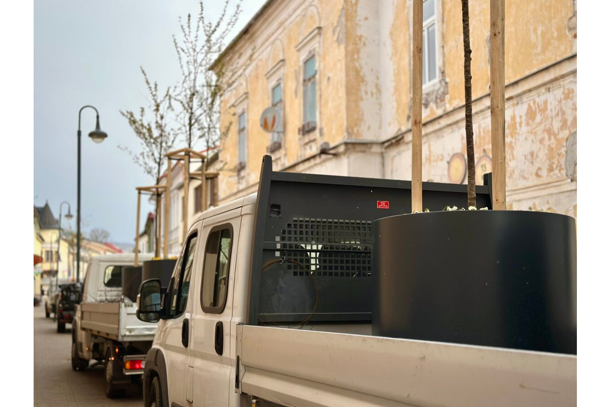 FOTO: Lazovná ulica v Bystrici bude zelenšia, mesto do nej investuje 14-tisíc eur, foto 4