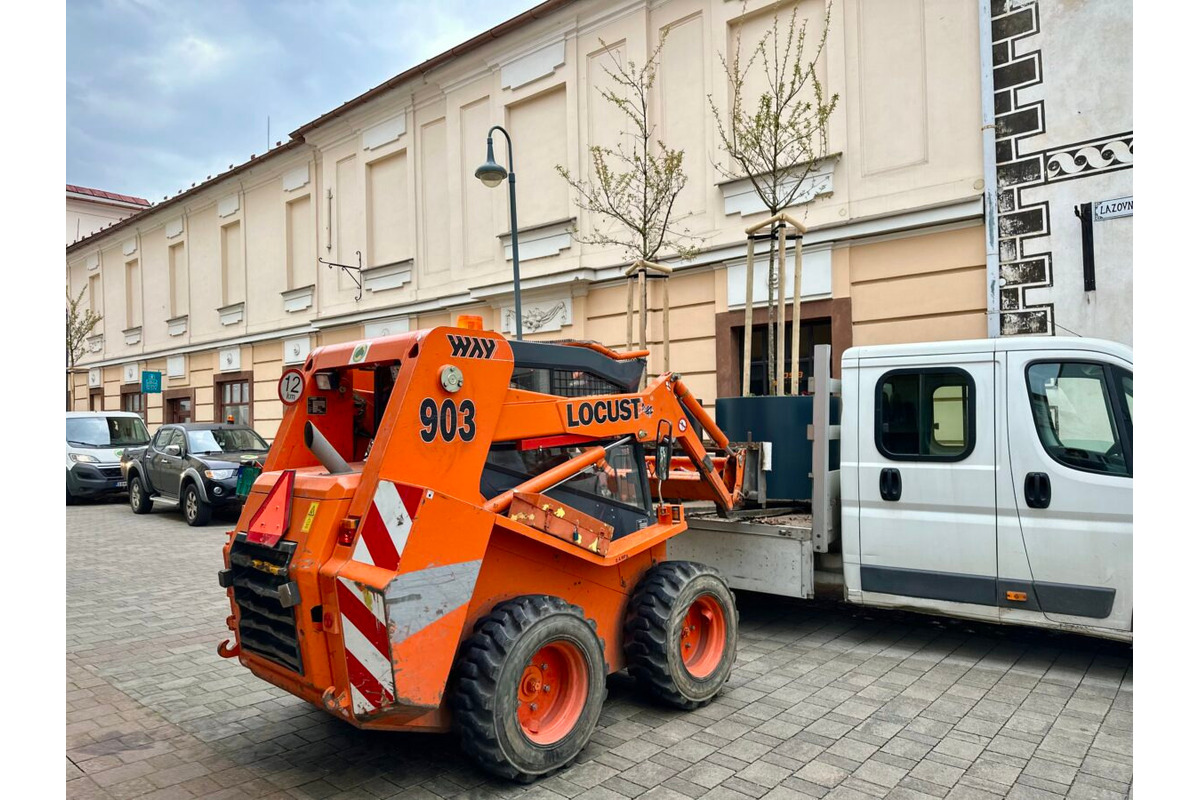 FOTO: Lazovná ulica v Bystrici bude zelenšia, mesto do nej investuje 14-tisíc eur, foto 5