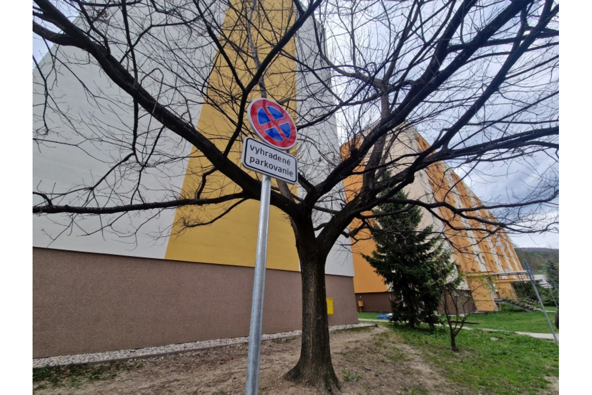 FOTO: Na sídlisku Podlavice plánujú vyrúbať viacero stromov, foto 7