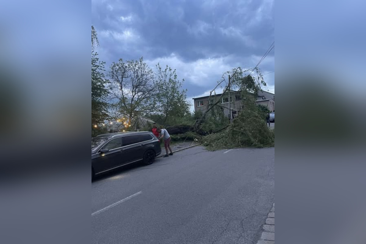 FOTO: Ikonický Hostinec Pod Vŕbou v Zvolene prišiel o svoju vŕbu, foto 2