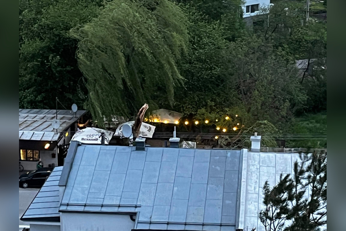 FOTO: Ikonický Hostinec Pod Vŕbou v Zvolene prišiel o svoju vŕbu, foto 3