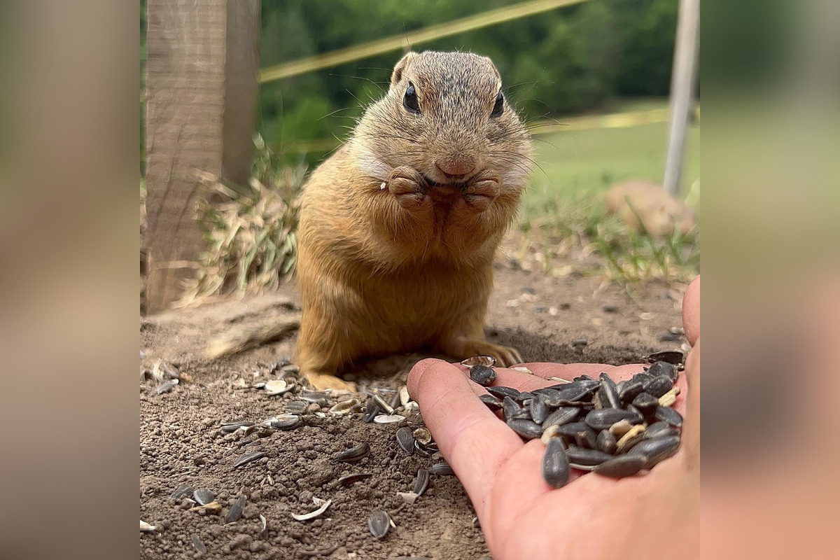 FOTO: Sysľovisko a Obrovisko v Muráni, foto 1