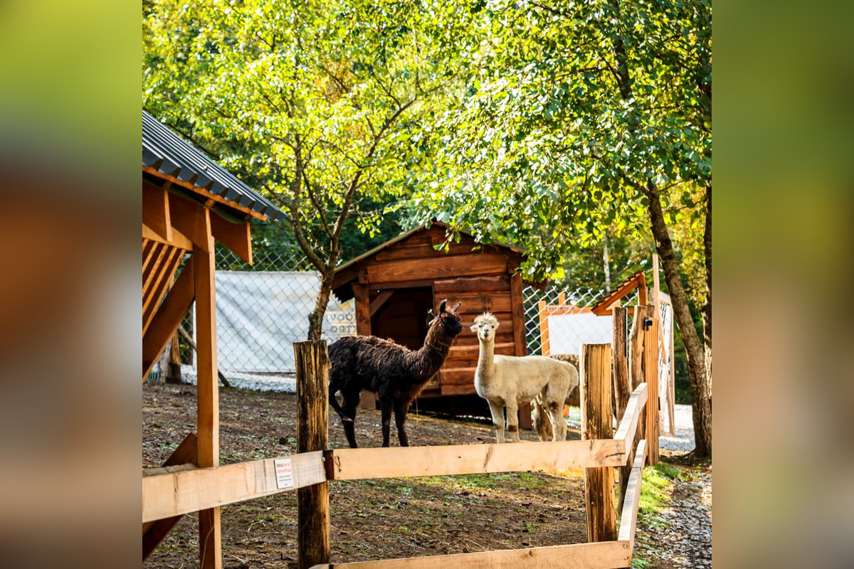 FOTO: Sysľovisko a Obrovisko v Muráni, foto 2