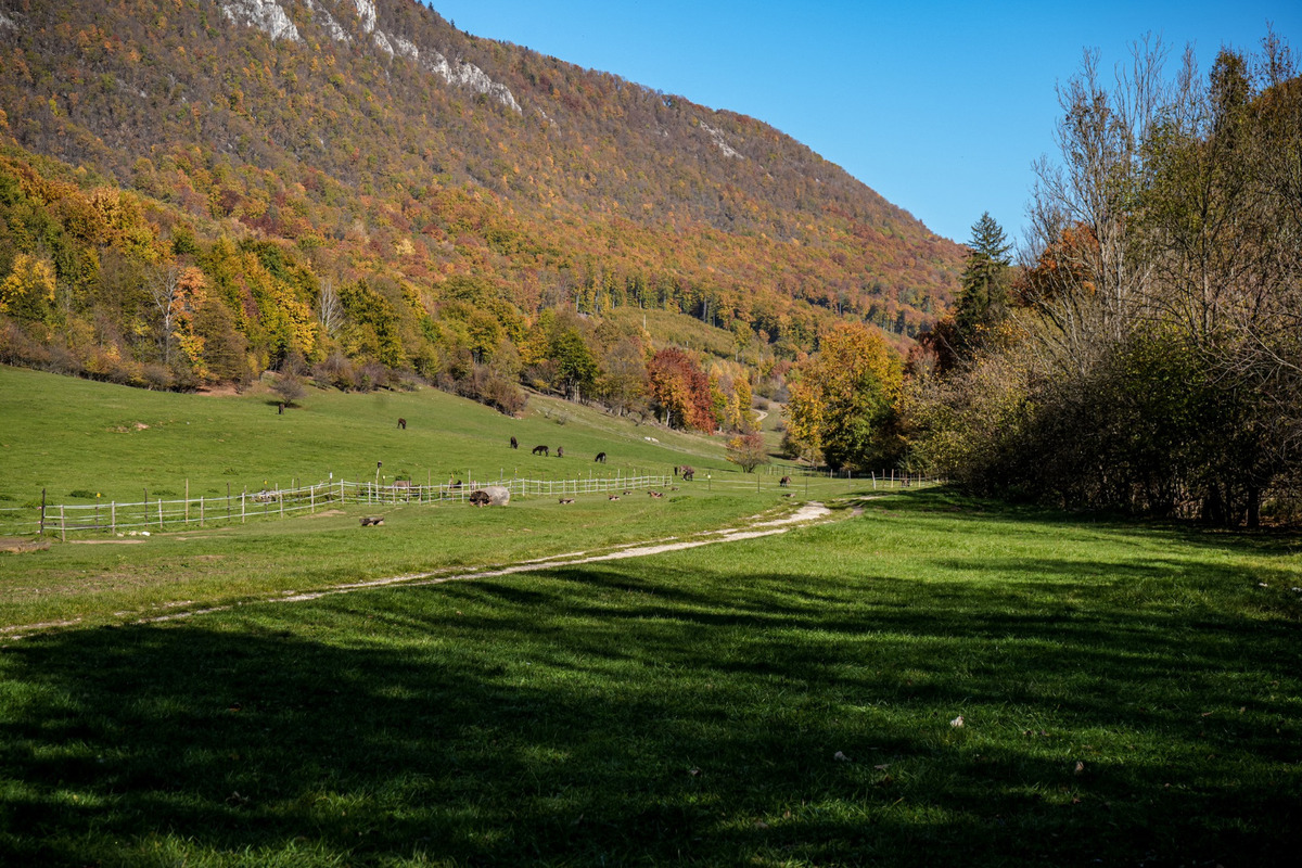 FOTO: Sysľovisko a Obrovisko v Muráni, foto 11