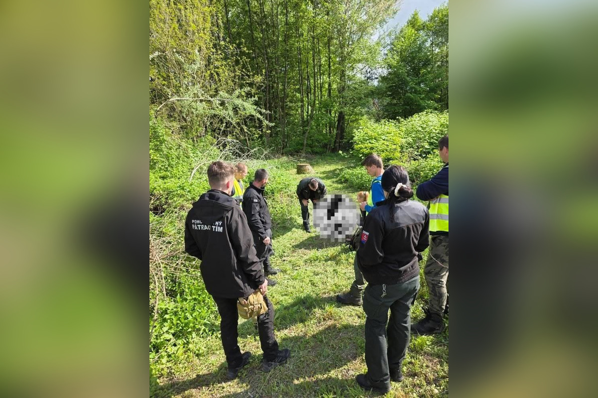 FOTO: Pohotovostný pátrací tím hľadal nezvestného Pavla z Novej Bane, foto 2