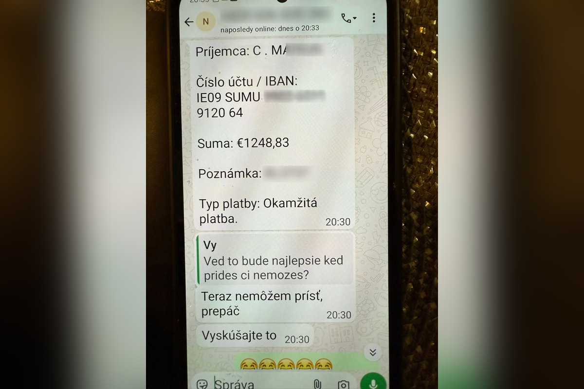 FOTO: Žena zverejnila konverzáciu s podvodníkom, foto 3