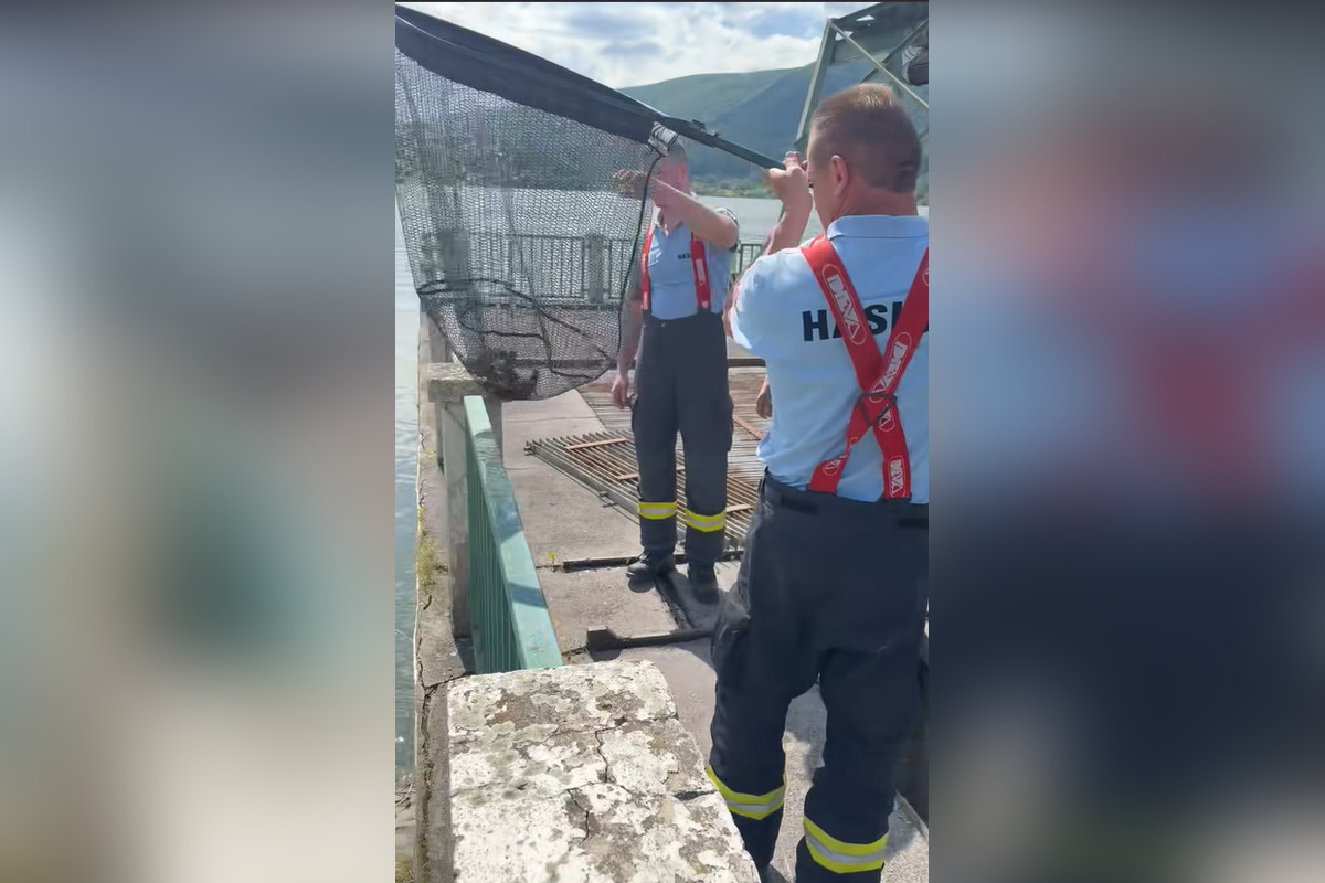 FOTO: Záchranná akcia pri zvolenskej priehrade, foto 8