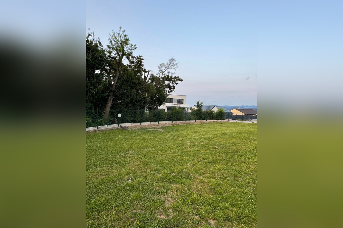 FOTO: Strieľa niekto v Bystrici po zvieratách? Jánov kocúr má takéto zranenie, foto 5