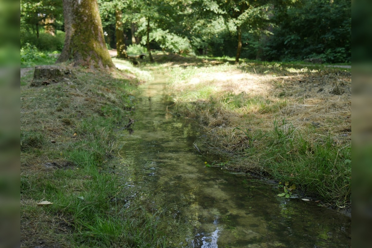 FOTO: Obnova potoka v Lučenci, foto 3