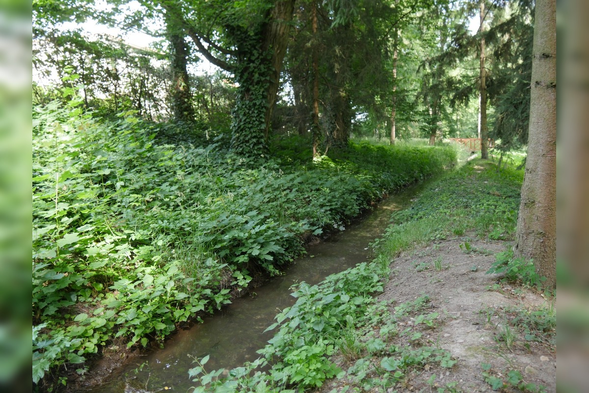 FOTO: Obnova potoka v Lučenci, foto 6