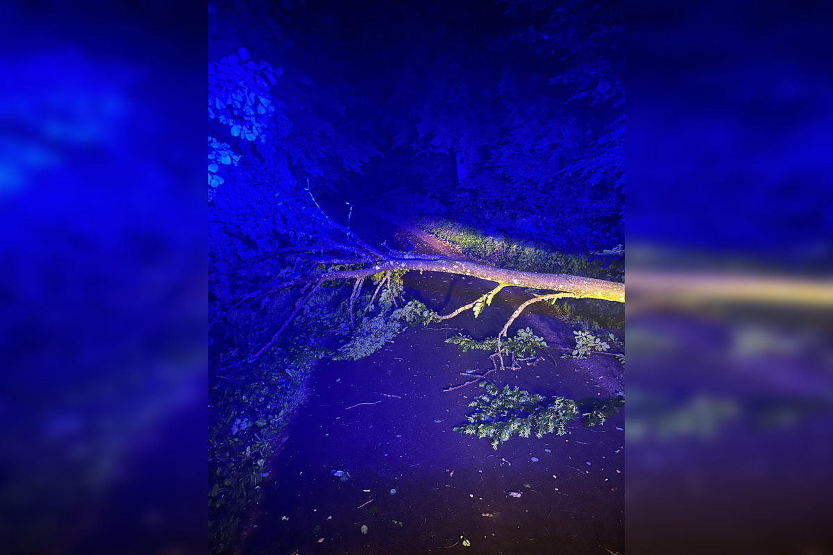 FOTO: Banskobystrický kraj zasiahli búrky, foto 7