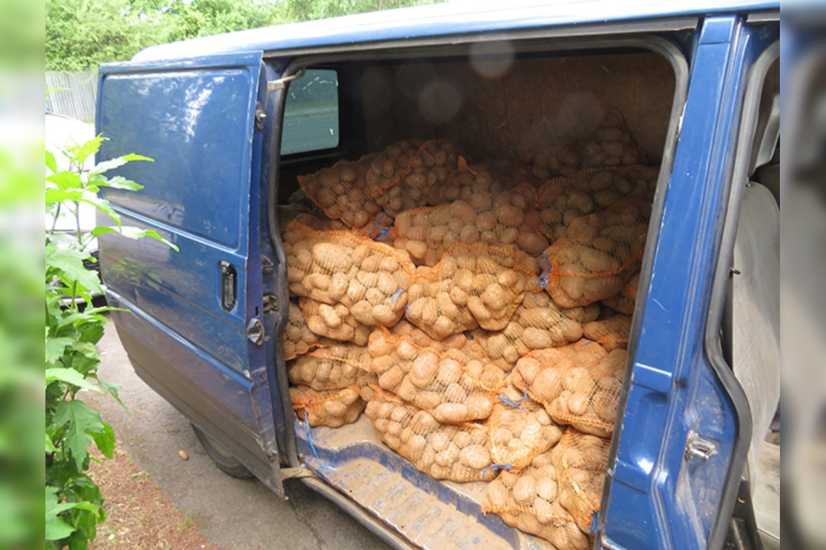 FOTO: Colníci v Tornali našli v dodávke z Poľska namiesto vrecia s tabakom, foto 3
