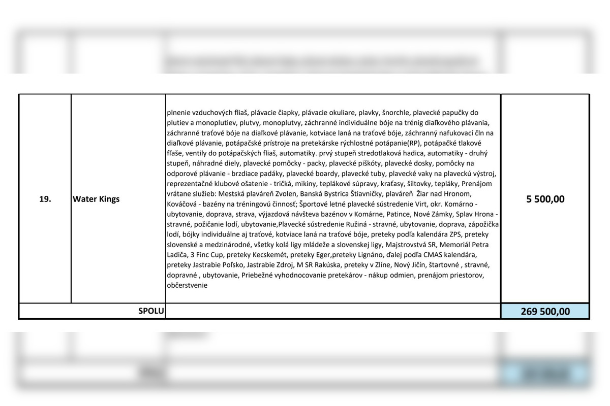 FOTO: Zvolen prerozdelil dotácie. Kto dostal podľa obyvateľov veľa a kto málo?, foto 7