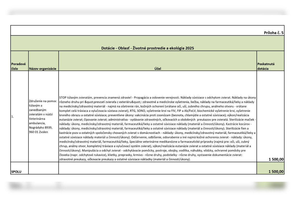 FOTO: Zvolen prerozdelil dotácie. Kto dostal podľa obyvateľov veľa a kto málo?, foto 8