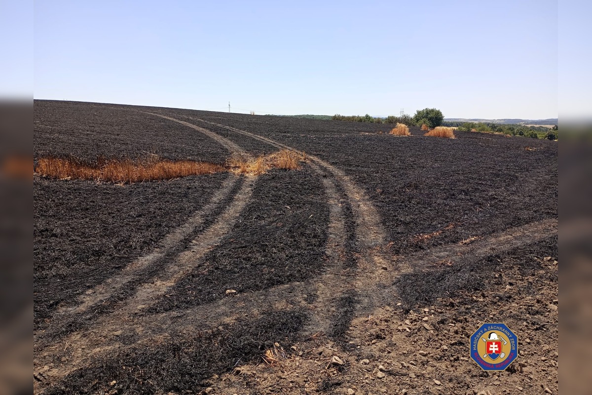 FOTO: Požiar jačmeňa pri Krupine, foto 4