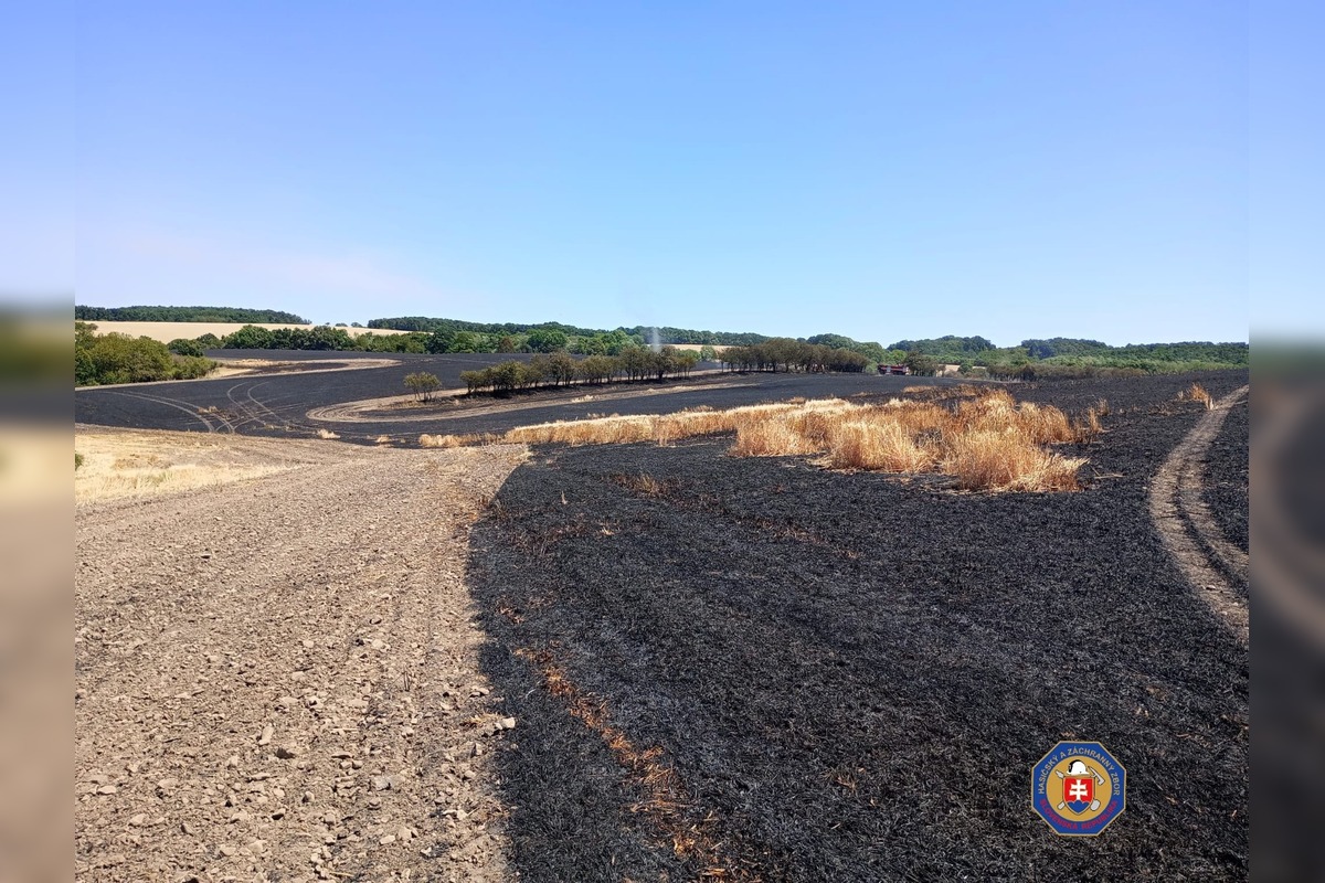 FOTO: Požiar jačmeňa pri Krupine, foto 6