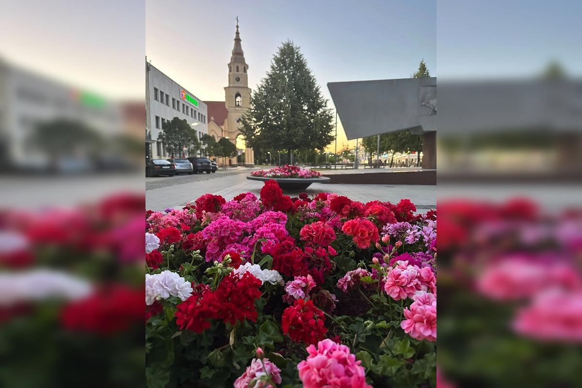 FOTO: Centrum Zvolena rozkvitlo, foto 1