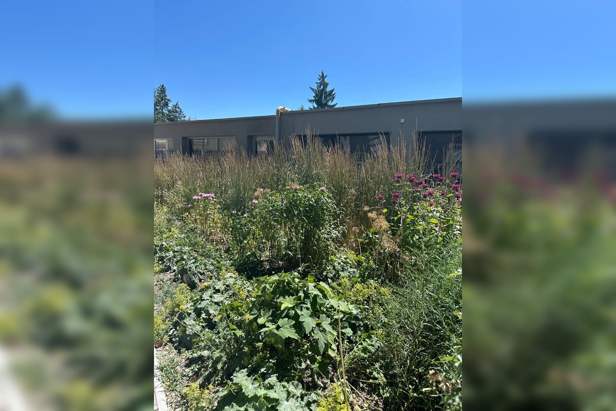 FOTO: Centrum Zvolena rozkvitlo, foto 7