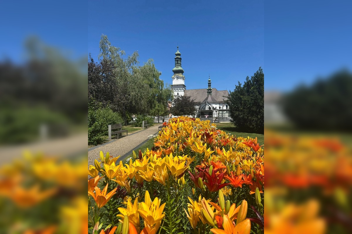 FOTO: Centrum Zvolena rozkvitlo, foto 8