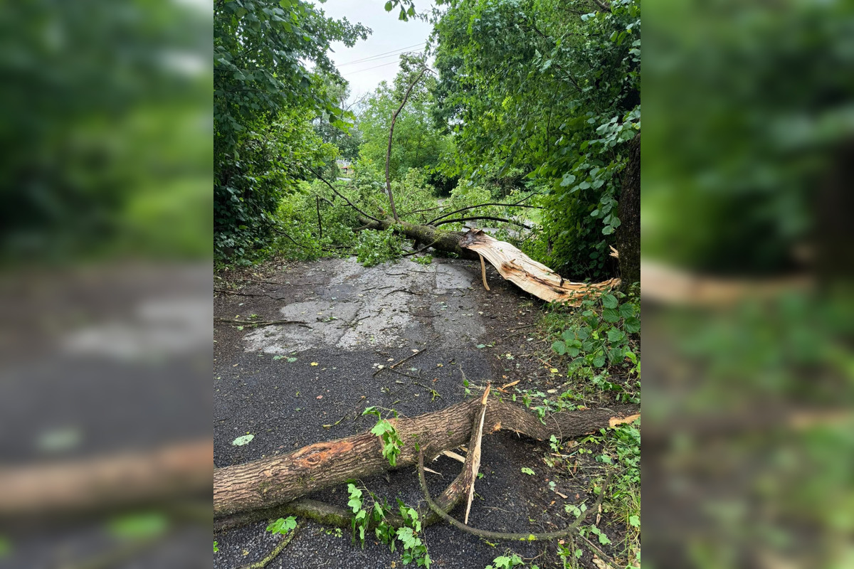 FOTO: Búrky v Banskobystrickom kraji spôsobili viaceré problémy, foto 7