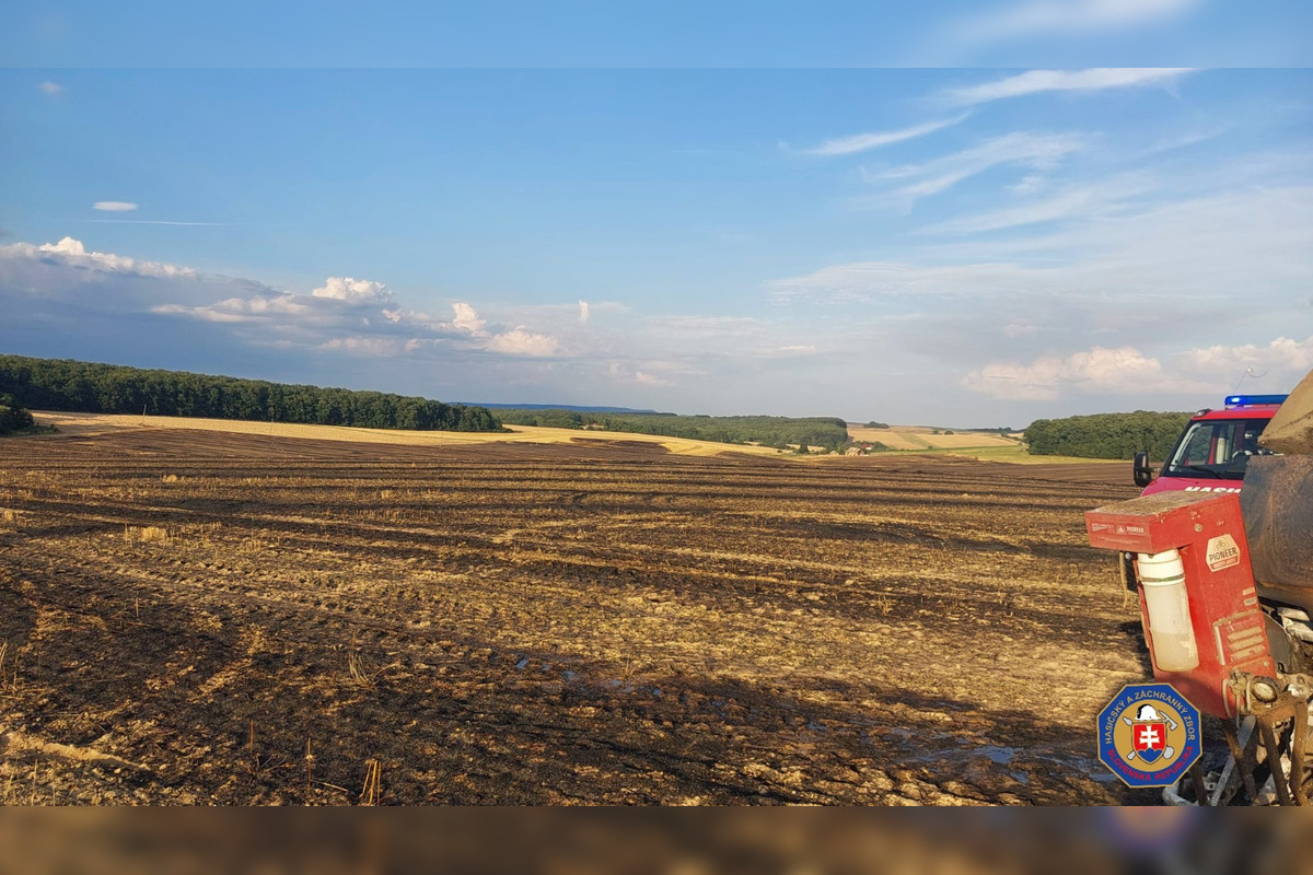 FOTO: V Poltári aj neďaleko Rimavskej Sobote horeli polia, foto 5
