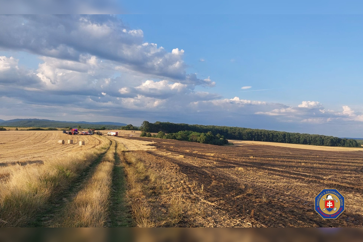 FOTO: V Poltári aj neďaleko Rimavskej Sobote horeli polia, foto 6