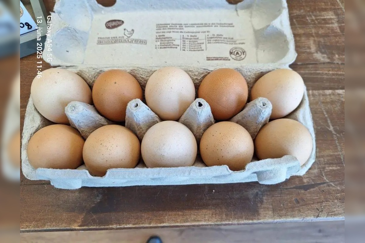 FOTO: Inšpektori odhalili stovky prehreškov v obchodoch, padli aj pokuty za tisíce, foto 5