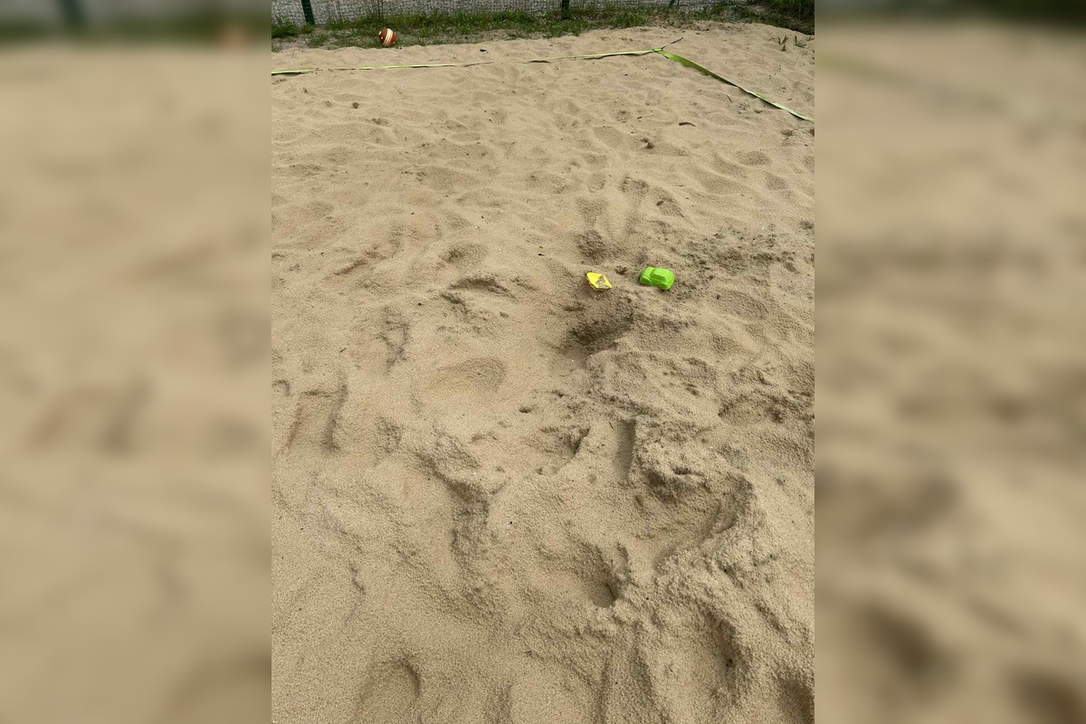 FOTO: Volejbalové ihrisko na Rudohorskej v Sásovej, foto 4