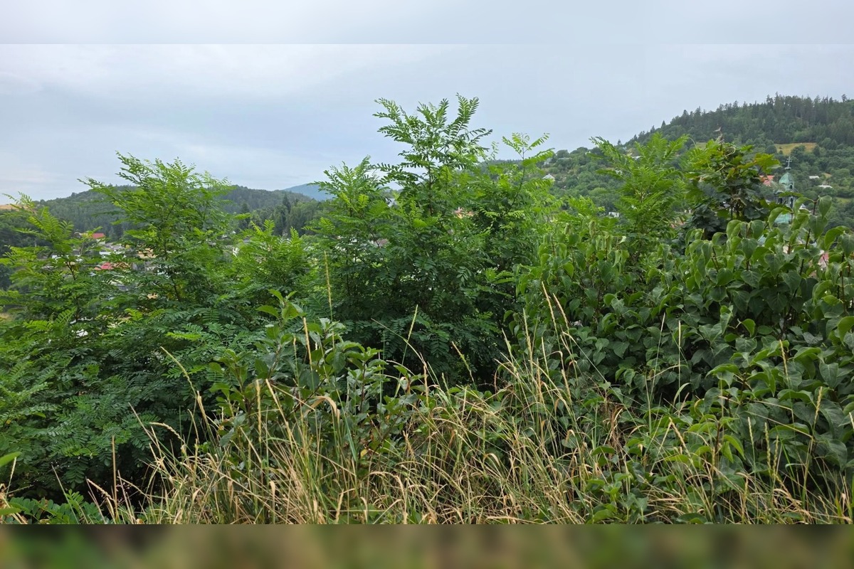 FOTO: Výhľad na Banskú Štiavnicu, foto 3