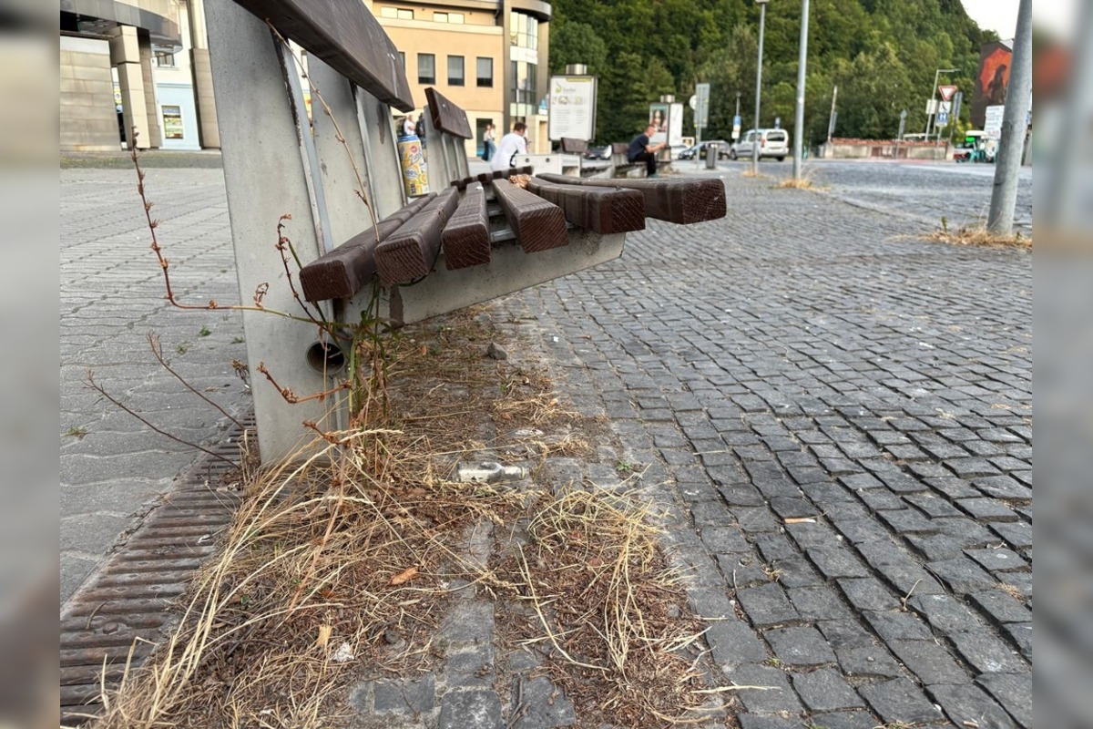 FOTO: Odpadky v centre Banskej Bystrice, foto 3