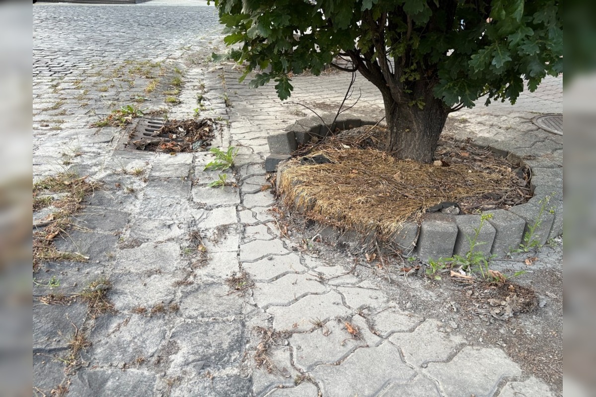 FOTO: Odpadky v centre Banskej Bystrice, foto 10