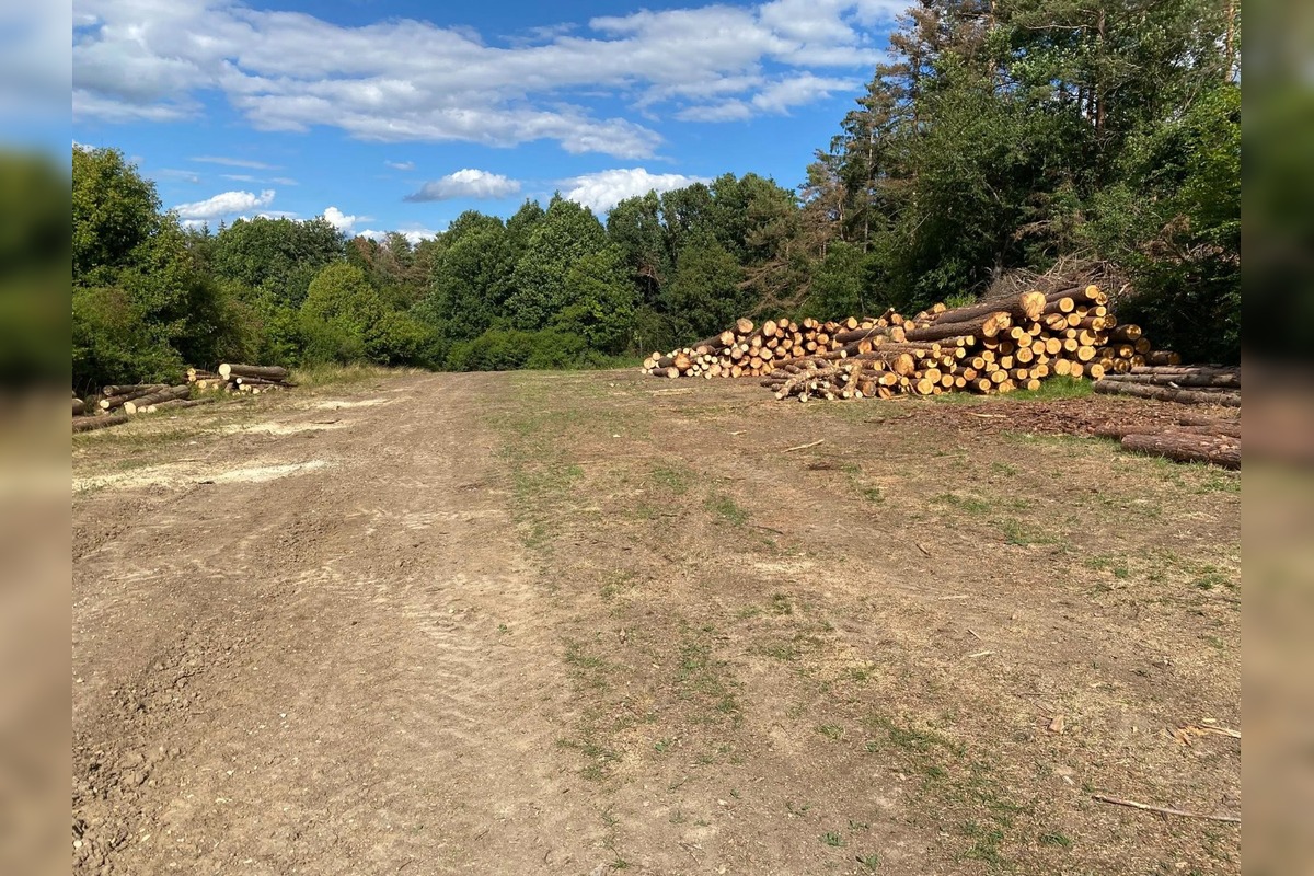 FOTO: Znečistená príroda nad Sliačom, foto 4