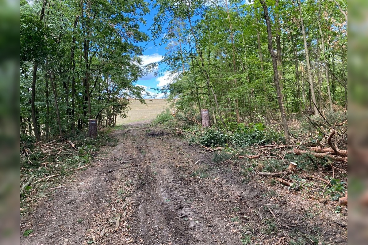 FOTO: Znečistená príroda nad Sliačom, foto 2