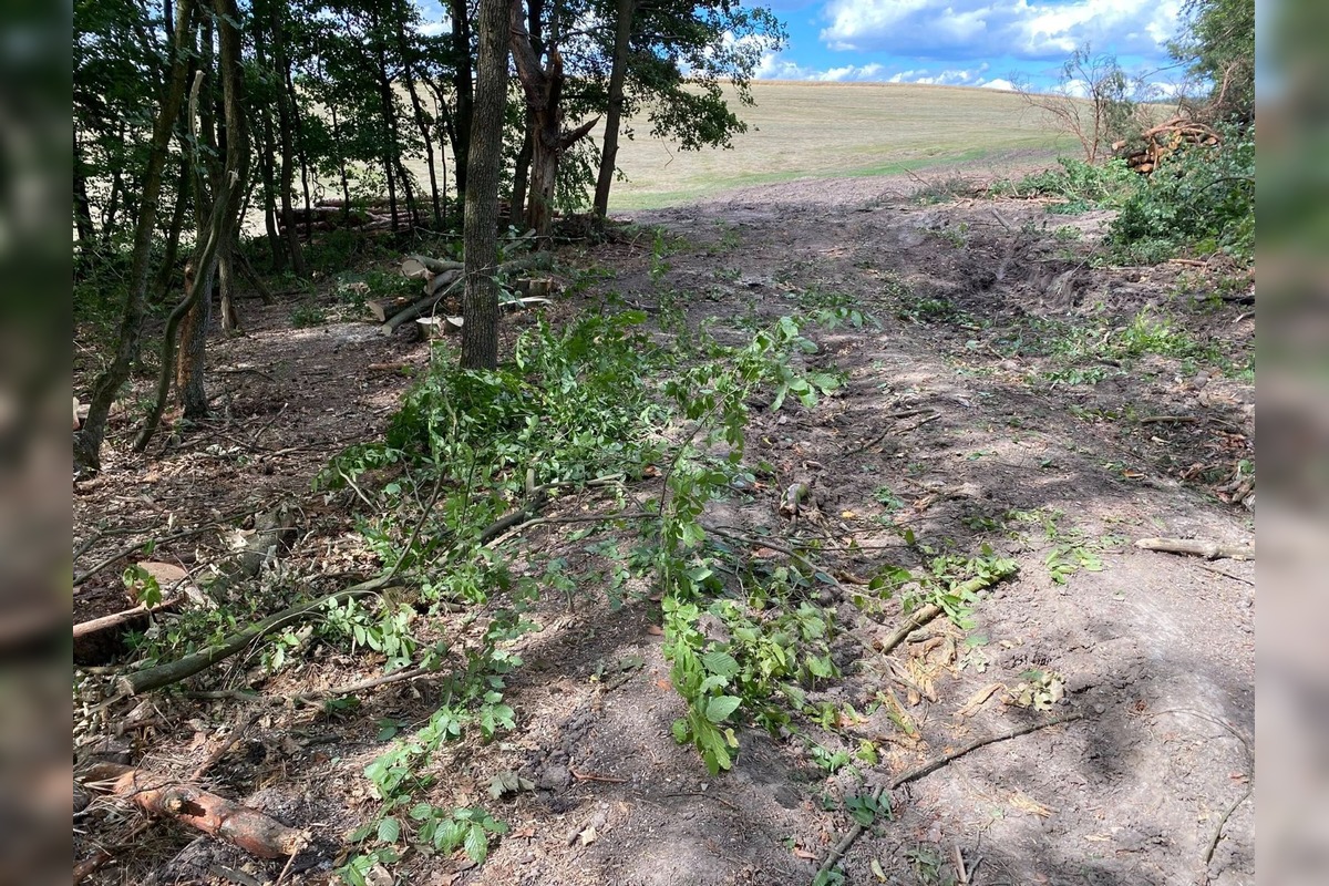 FOTO: Znečistená príroda nad Sliačom, foto 6