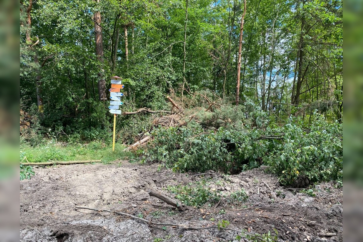 FOTO: Znečistená príroda nad Sliačom, foto 3