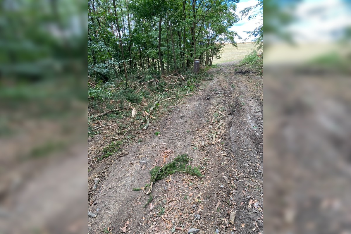 FOTO: Znečistená príroda nad Sliačom, foto 8